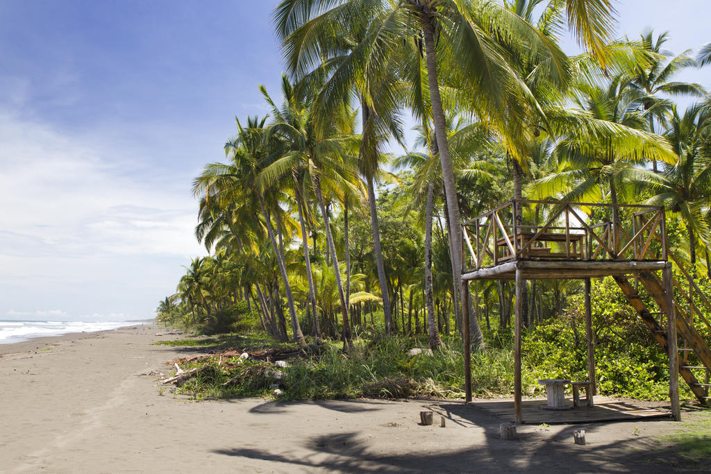 Clandestino Beach Resort Parrita Esterno foto